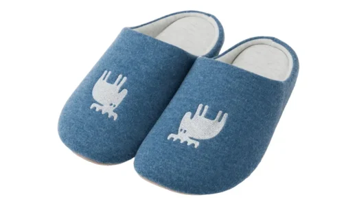 履くだけで姿勢を意識？moz 美姿勢スリッパ｜アカツキコーポレーションのかわいい姿勢サポートルームシューズ