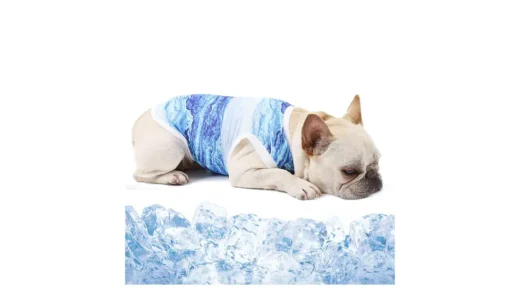 Hakonaの冷感ベストで夏散歩が変わる｜水でひんやり続く犬用クールウェア