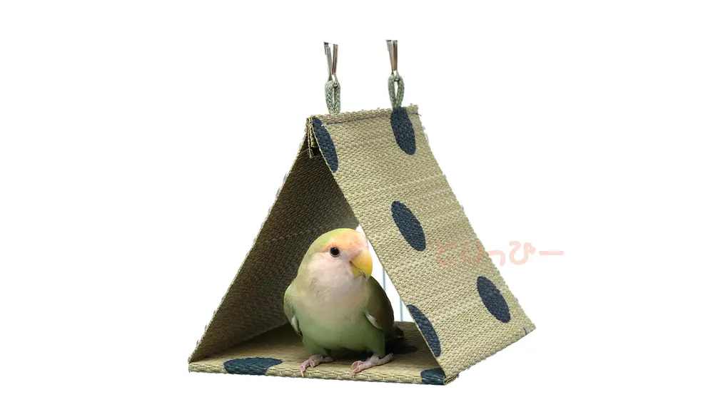 小鳥用 い草テント L ブルー