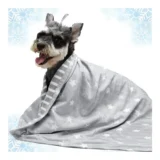 ULIGOTAクールブランケット｜犬猫の夏時間がやさしく整う一枚