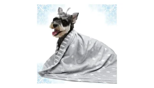 ULIGOTAクールブランケット｜犬猫の夏時間がやさしく整う一枚